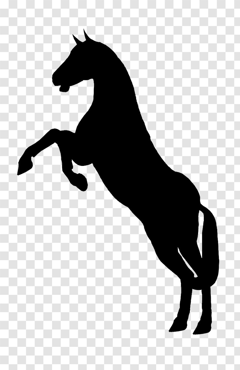 Horse Stallion Rearing Clip Art - Western Pleasure Transparent PNG