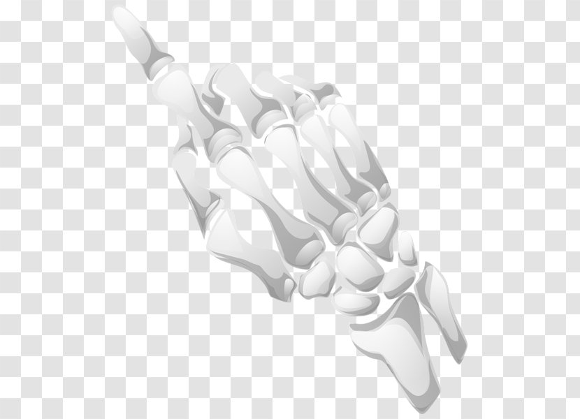 Human Skeleton Hand Bone Clip Art - Anatomy Transparent PNG