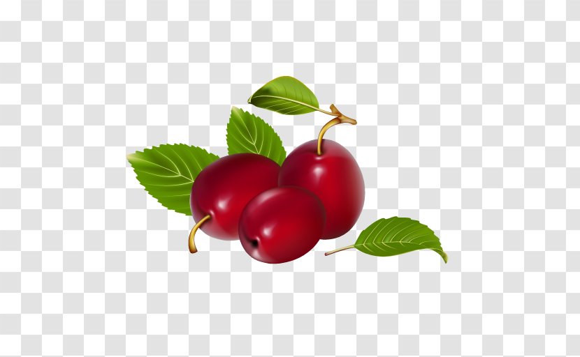 Vector Graphics Cherries Plum Clip Art Peach - Berries - Fooddrink Transparent PNG