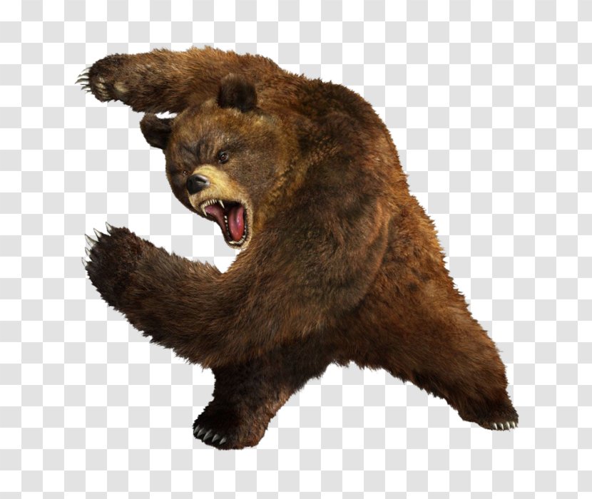 Fancy Bear Security Hacker Russian Interference In The 2016 United States Elections Cozy - Fur Transparent PNG