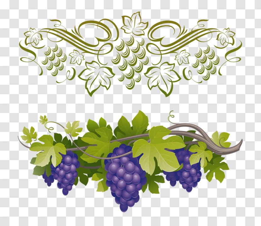 Red Wine Distilled Beverage Cellars Club Clubs - Alcoholic Drink - Grape Transparent PNG