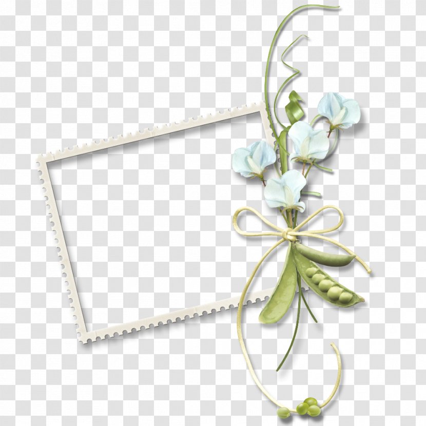 Download - White - Vector Painted Frame Border,White Transparent PNG