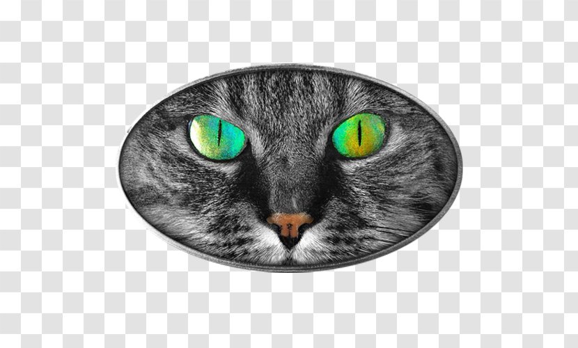 Cat's Eye Tabby Cat The Pupil Transparent PNG