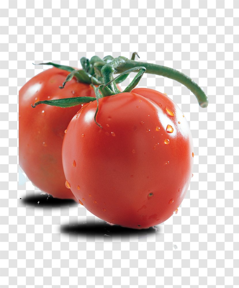 Plum Tomato Cherry Bush Ingredient - Tomatoes With A Branch Creative Transparent PNG
