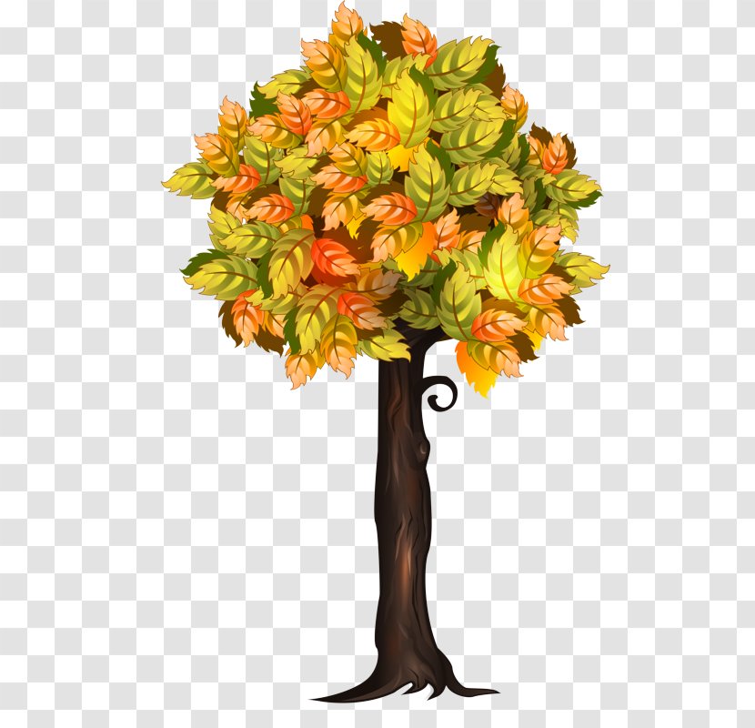 Orange - Woody Plant - Flowerpot Transparent PNG