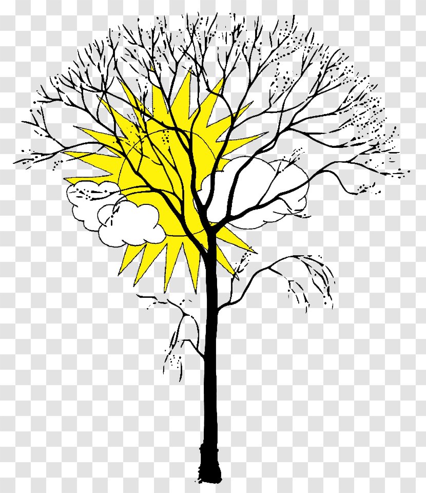 Coloring Book Tree Branch Trunk Leaf - Winter Transparent PNG