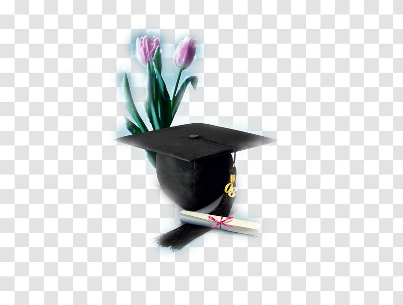 Graduation Ceremony Laurea Academic Certificate Bomboniere Clip Art - Degree - Bachelor Of Cap On Flowers Transparent PNG