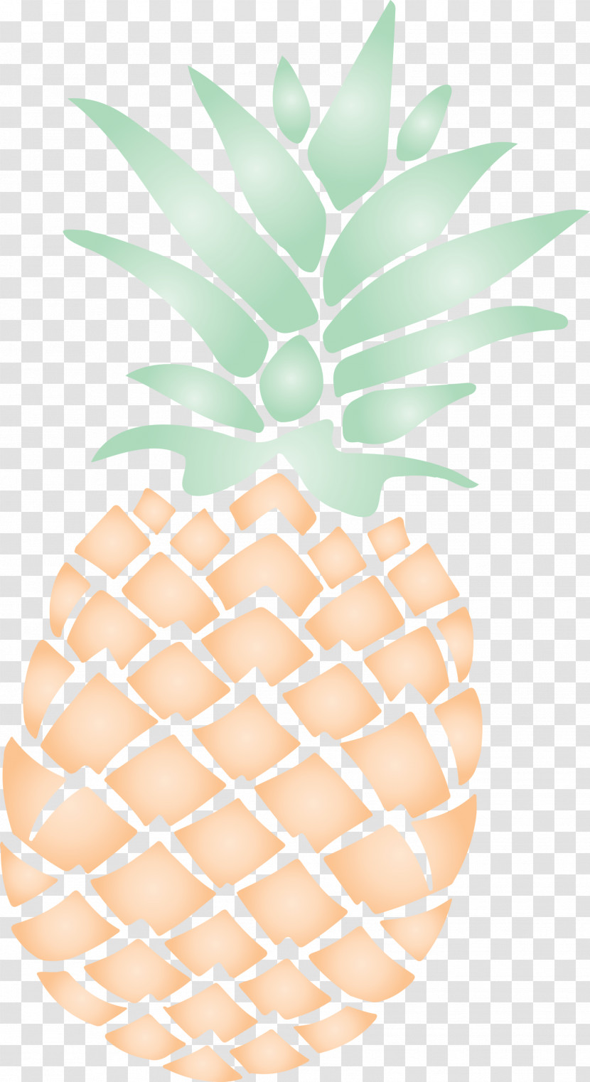 Pineapple Tropical Summer Transparent PNG