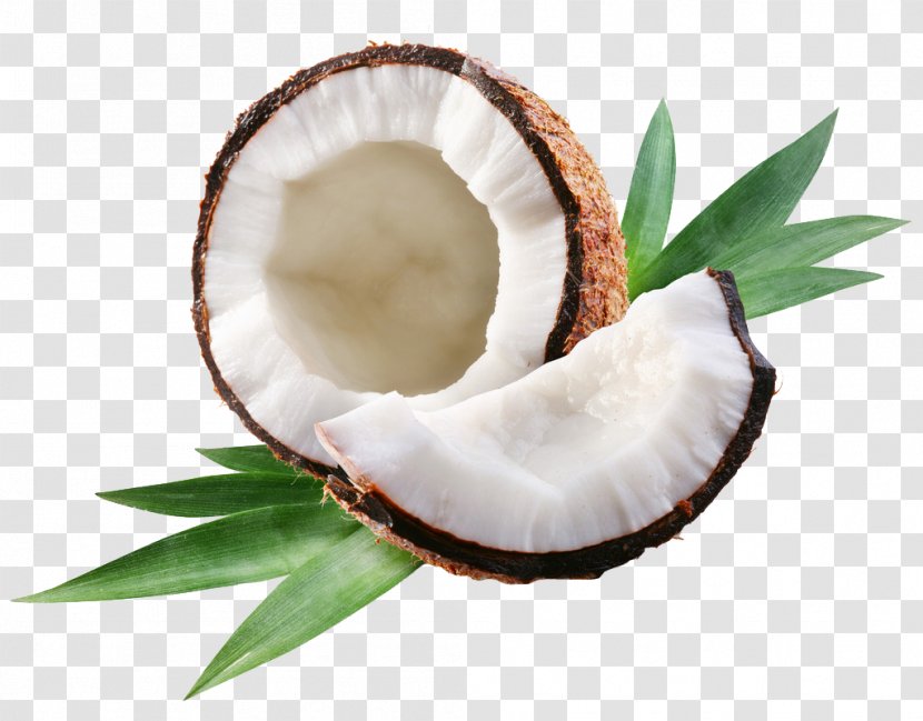 Coconut Water Milk Oil Arecaceae - Stock Photography Transparent PNG