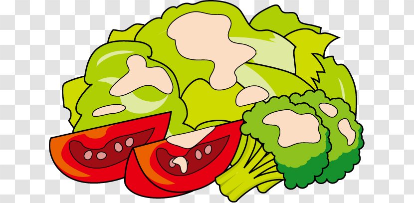 Illustration Vegetable Salad Clip Art Food - Flowering Plant Transparent PNG