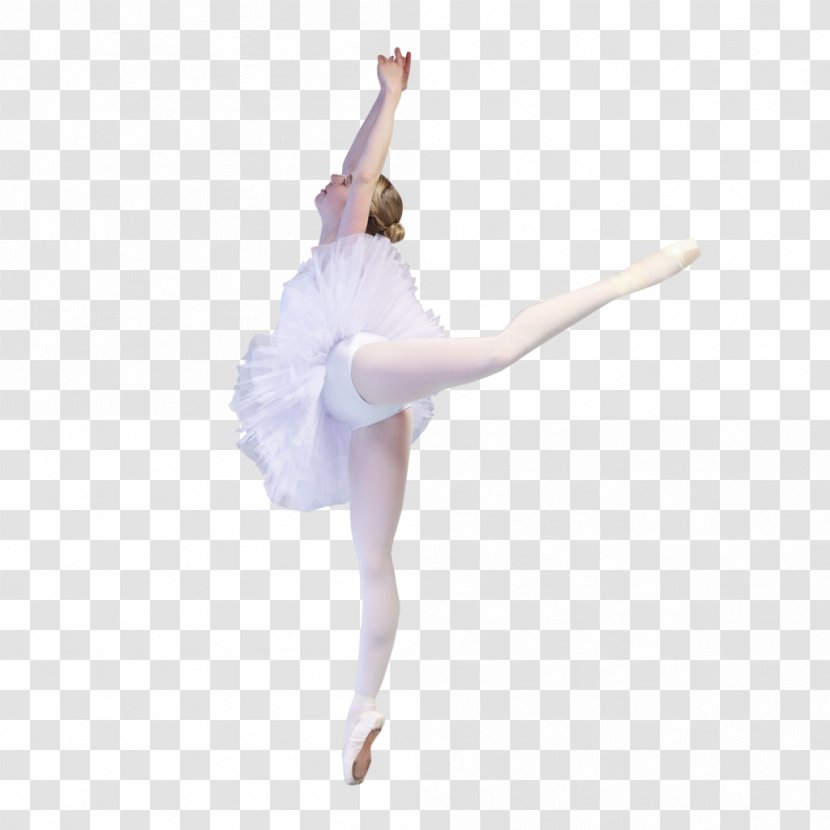 Ballet Choreographer Tutu Dance Choreography - Frame Transparent PNG