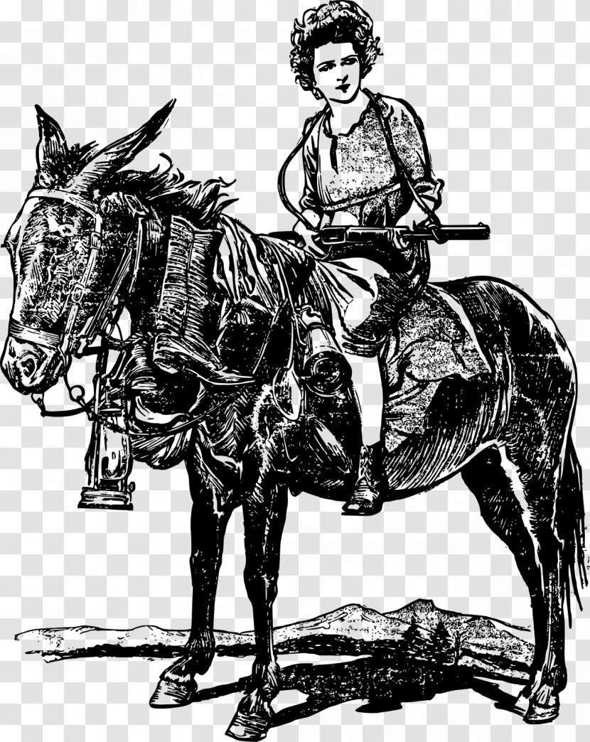 Mule Horse Firearm Equestrian Weapon - Heart - Riding Club Transparent PNG
