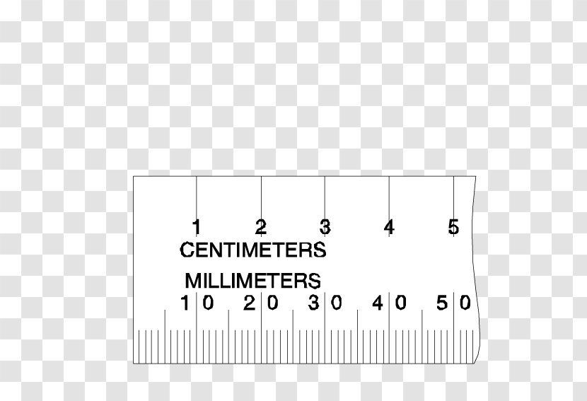 Ruler Paper - Flower - Sub-scale Transparent PNG