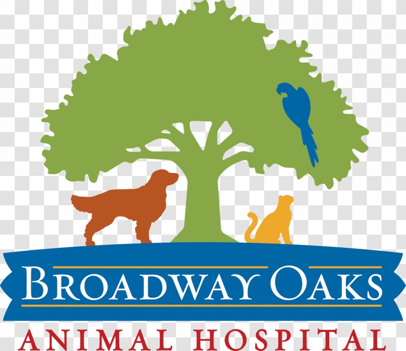 Broadway Oaks Animal Hospital Dog Veterinarian Pet Street - Pharmacist Transparent PNG