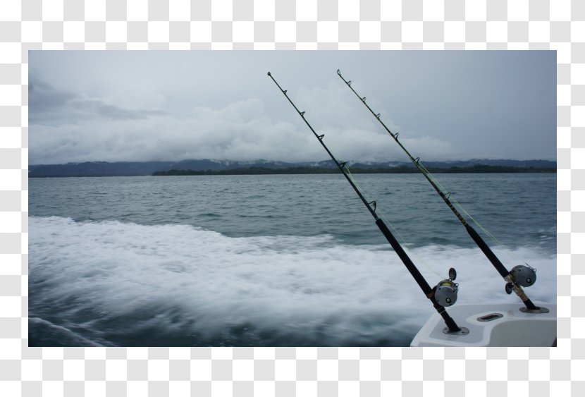 Casting Shore Recreational Fishing Rods Sea Transparent PNG