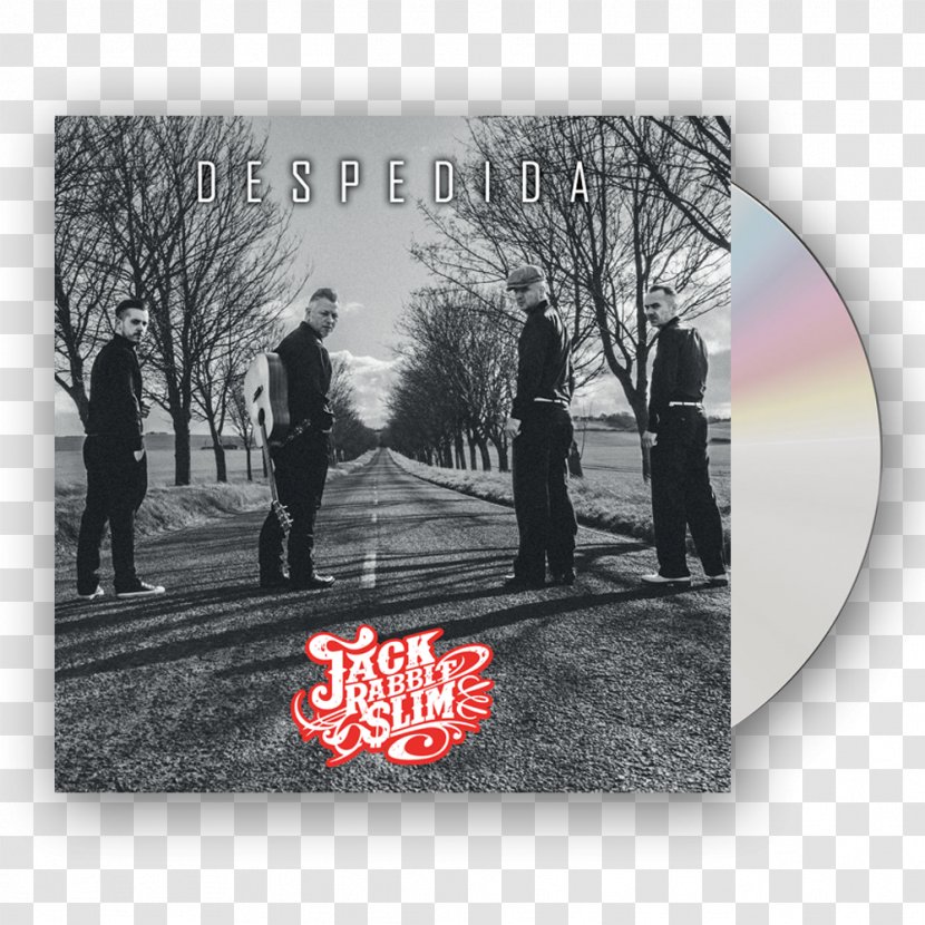 Jack Rabbit Slim Phonograph Record Compact Disc Rockabilly Discogs - Tree - Lp Records Transparent PNG