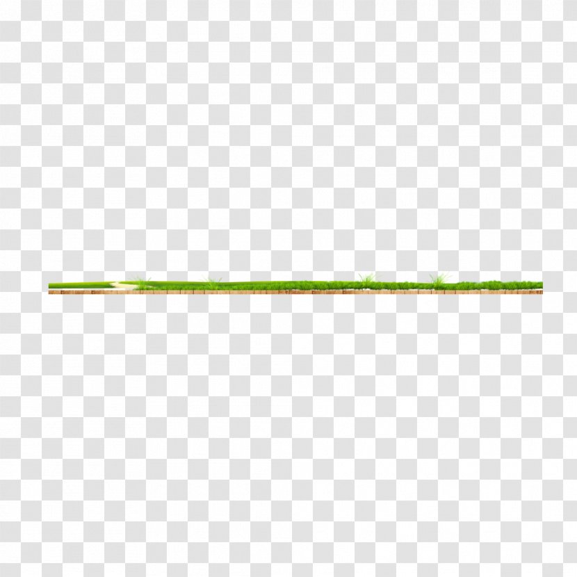 Green Plant Angle - Grass - On Wood Transparent PNG