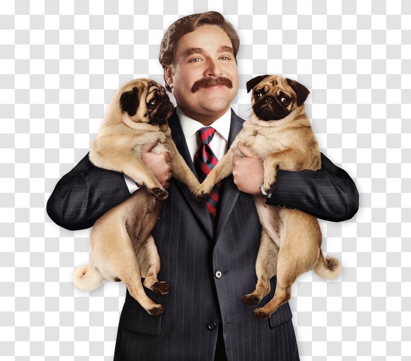 Zach Galifianakis The Campaign Marty Huggins Cam Brady YouTube - Youtube - Newton Transparent PNG