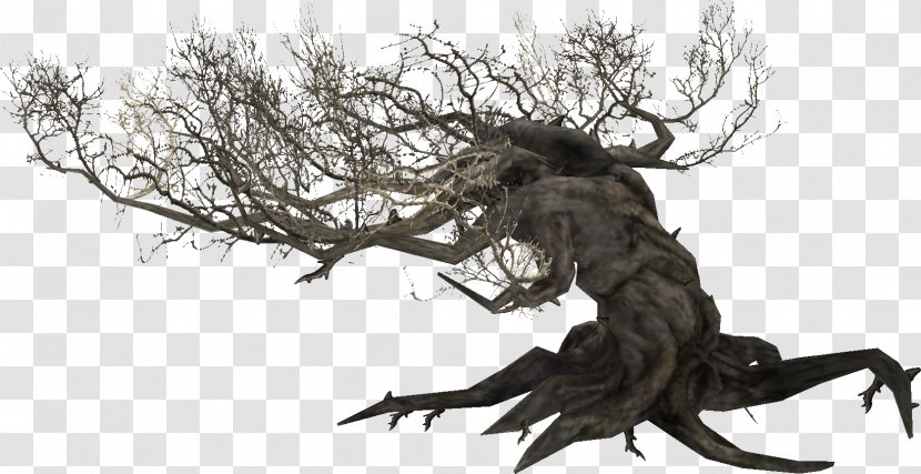 The Elder Scrolls V: Skyrim Online Root Tamriel Plant Transparent PNG