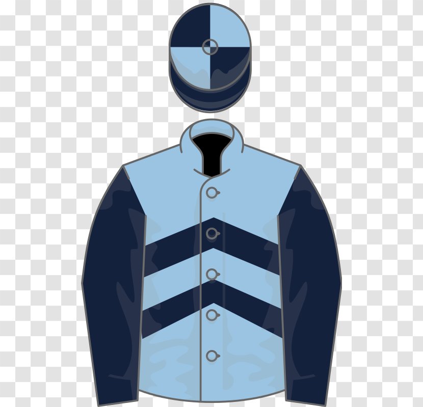 Thoroughbred Nechells Northumberland Plate Al Shaqab Horse Racing - Blue Transparent PNG
