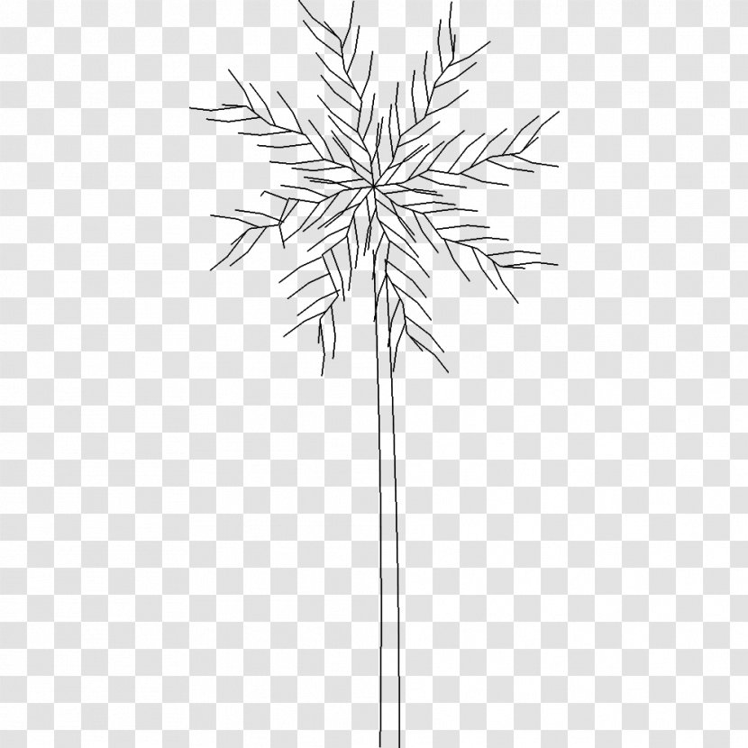 Twig AutoCAD .dwg Drawing Computer-aided Design - Arecaceae - Tree Transparent PNG