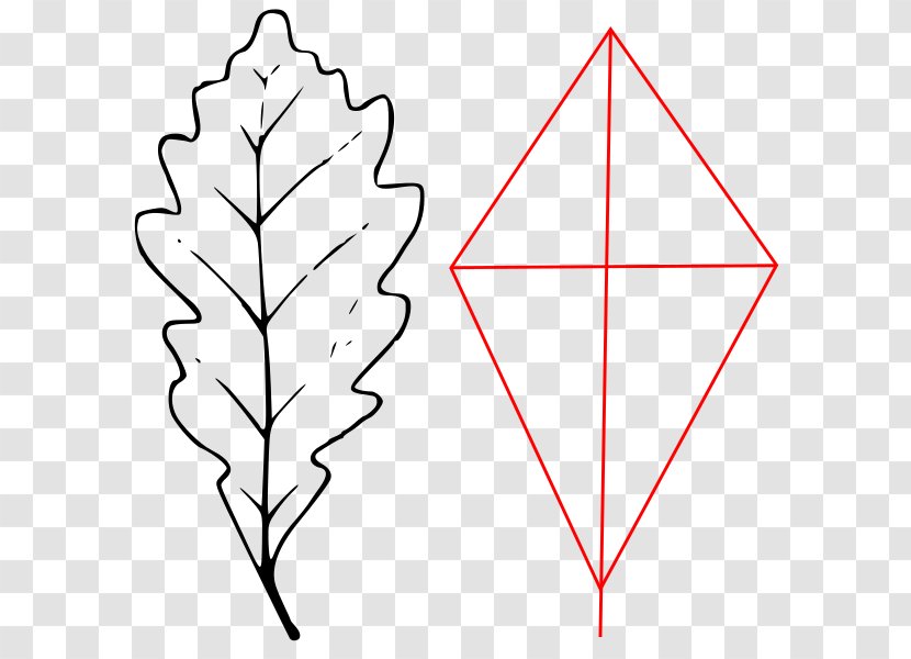 Leaf Plant Stem Triangle Tree - Flower Transparent PNG