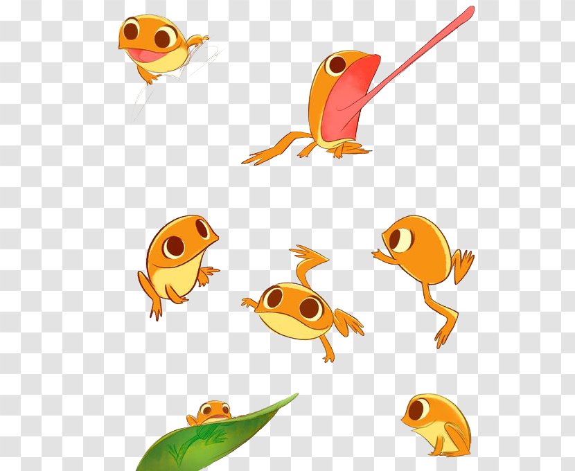 Frog Drawing Illustration - Flying - Yellow Transparent PNG