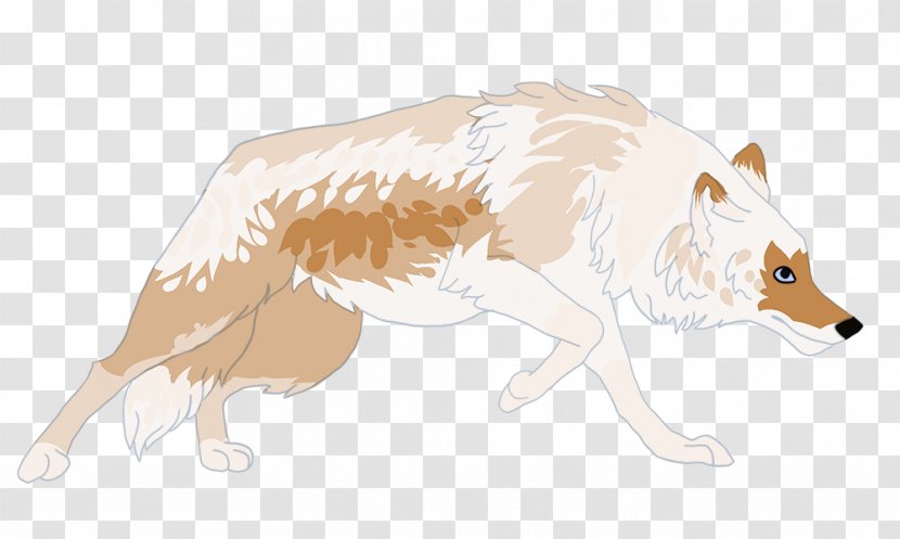 Dog Red Fox Snout Wildlife Transparent PNG