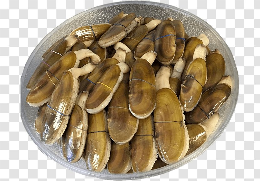 Pacific Razor Clam Mussel Giant Shellfish - Seafood Transparent PNG