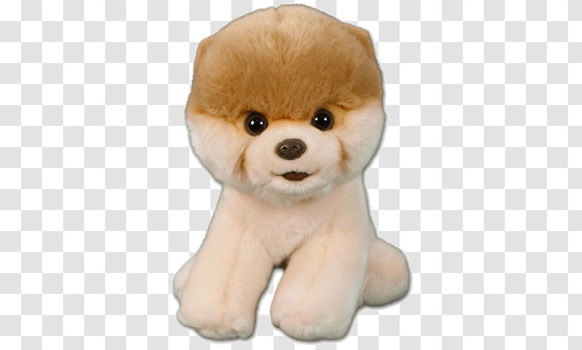 Pomeranian Boo Stuffed Toy - Tree - Dog Pic Transparent PNG