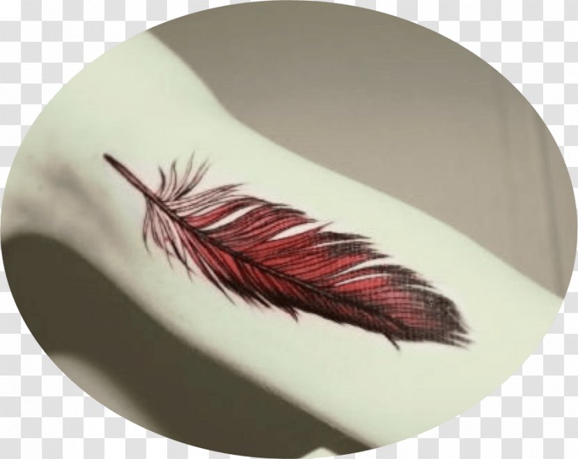 Feather Tadashi Tattoo Bird Color Transparent PNG
