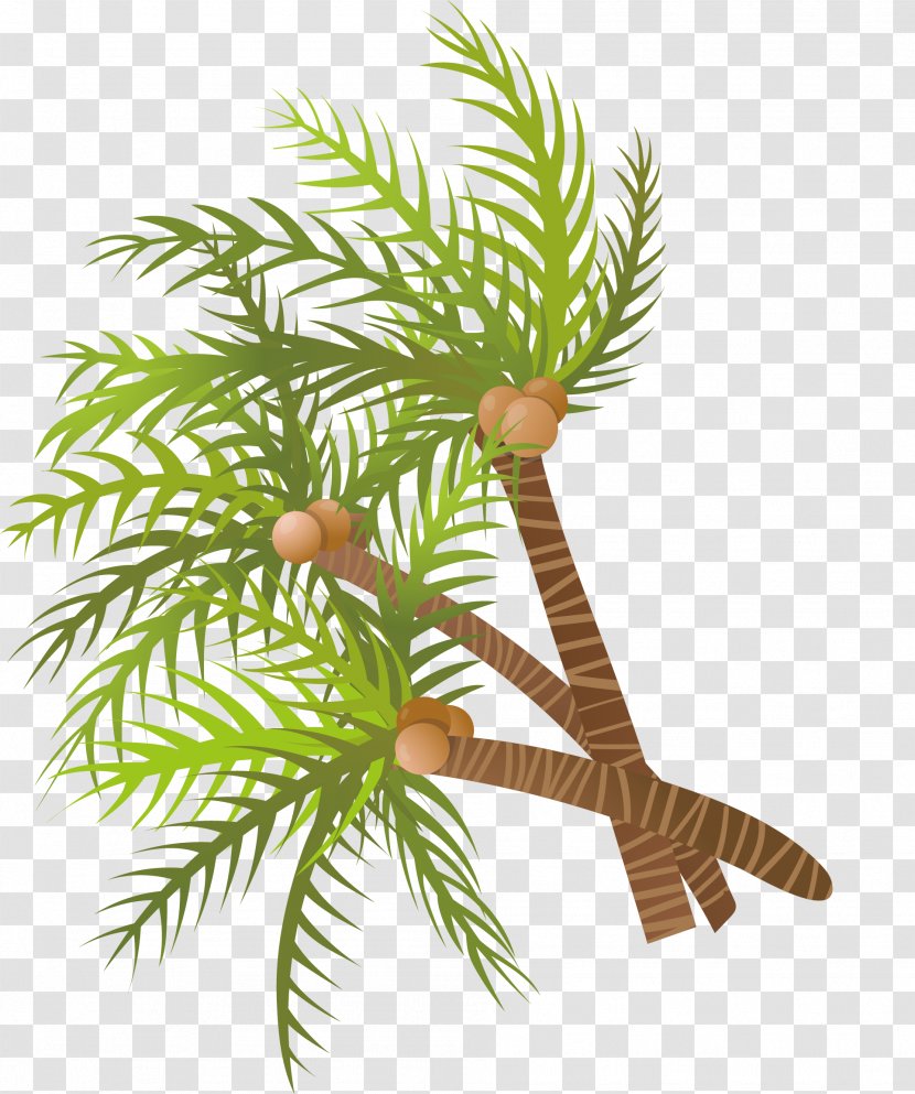 Arecaceae Coconut Tree Euclidean Vector - Arecales - Hand Painted Green Transparent PNG