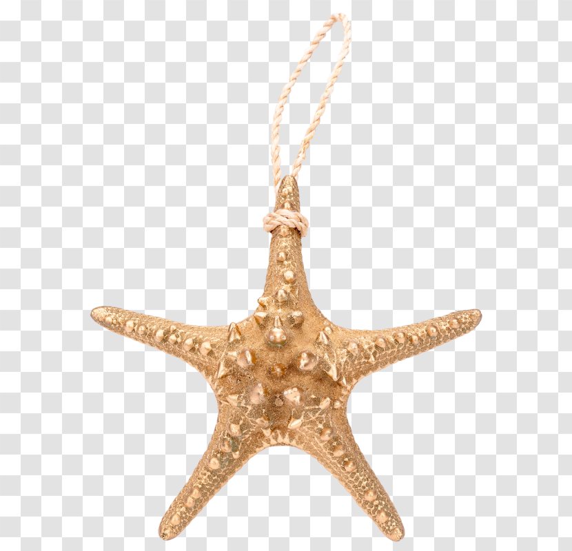 Starfish Charms & Pendants Christmas Ornament Transparent PNG