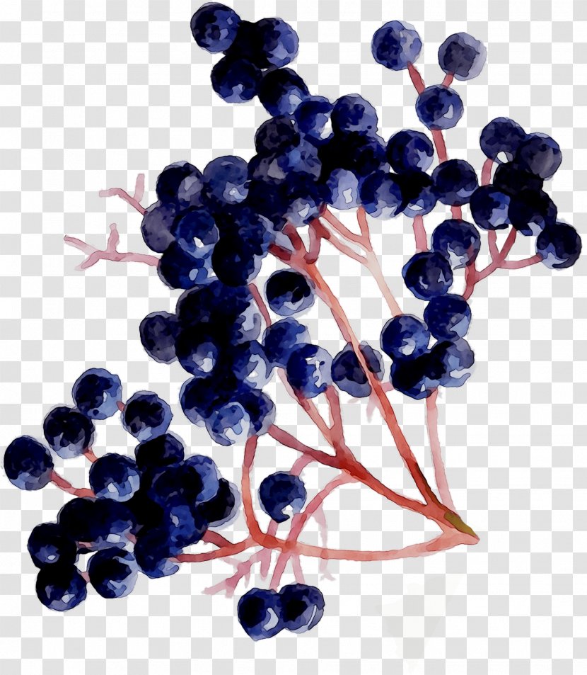 Grape Seed Extract Zante Currant Blueberry Bilberry - Fruit Transparent PNG