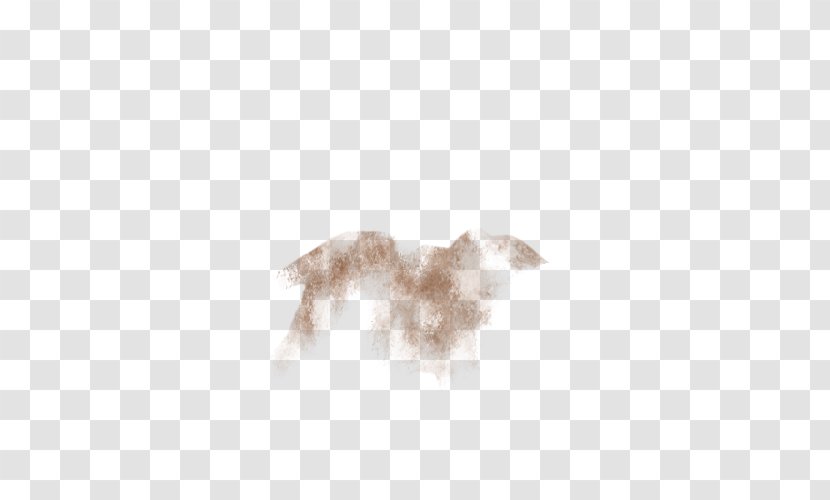 Feather - Fur Transparent PNG