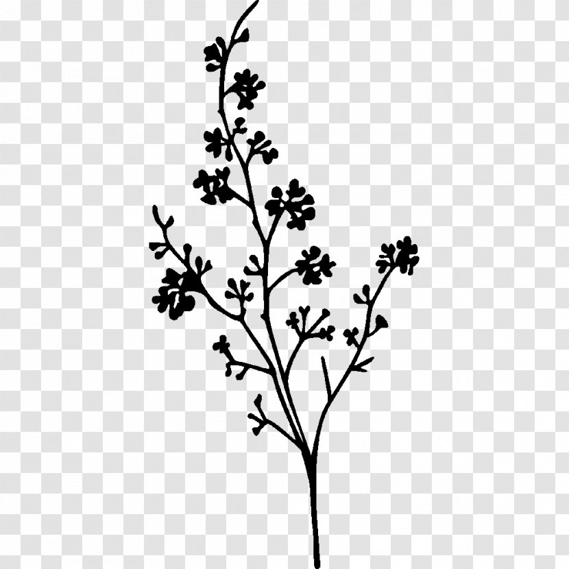 Sticker Branch Plant Stem Leaf - Flower - Tak Transparent PNG