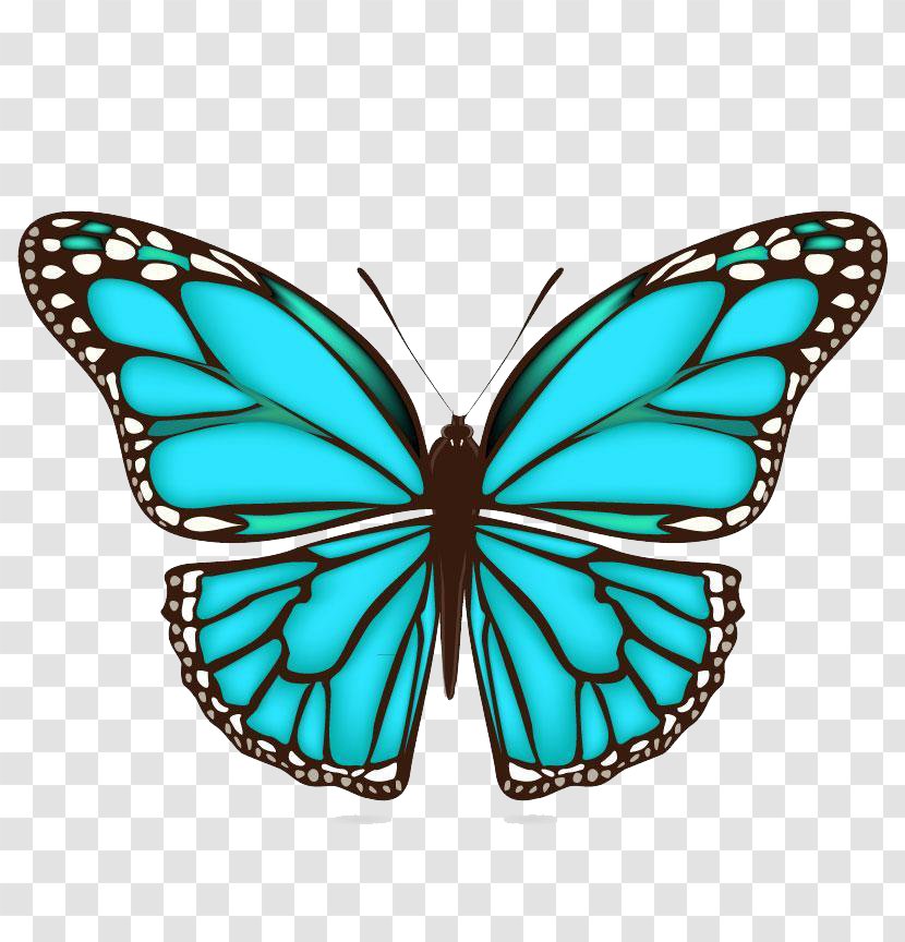 Butterfly Clip Art - Brush Footed - Creative Transparent PNG