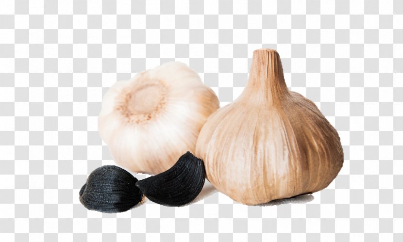 Garlic - Food - BLACK GARLIC Transparent PNG