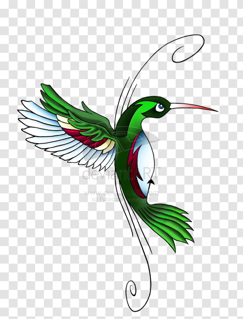 Hummingbird Feather Wing Beak Illustration - Pattern - Tattoos Download Transparent PNG