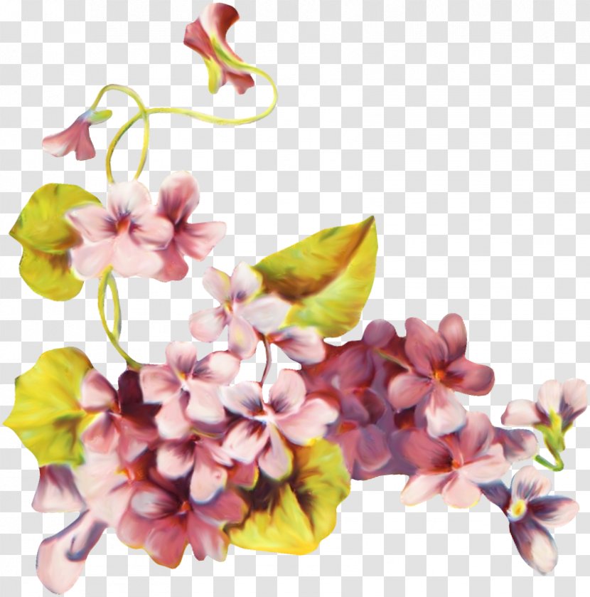 Flower Clip Art - Flowering Plant - Blossom Transparent PNG