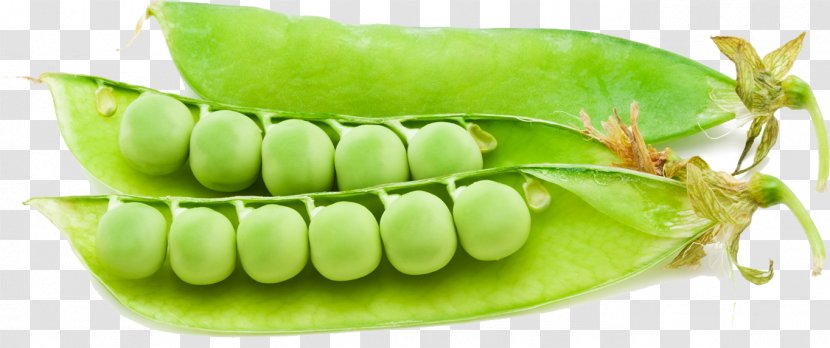 Snap Pea Superfood Commodity Transparent PNG