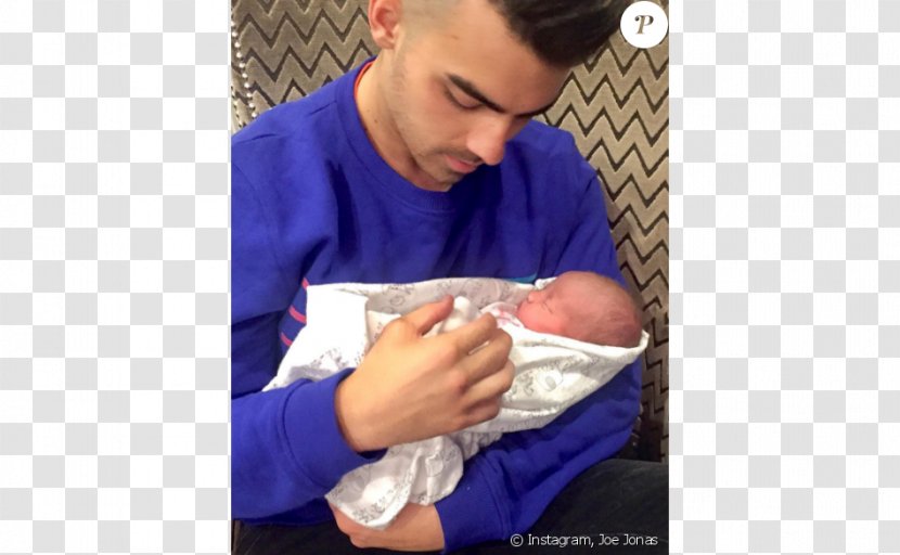 Joe Jonas Married To Brothers Singer-songwriter - Tree - Danielle Deleasa Transparent PNG