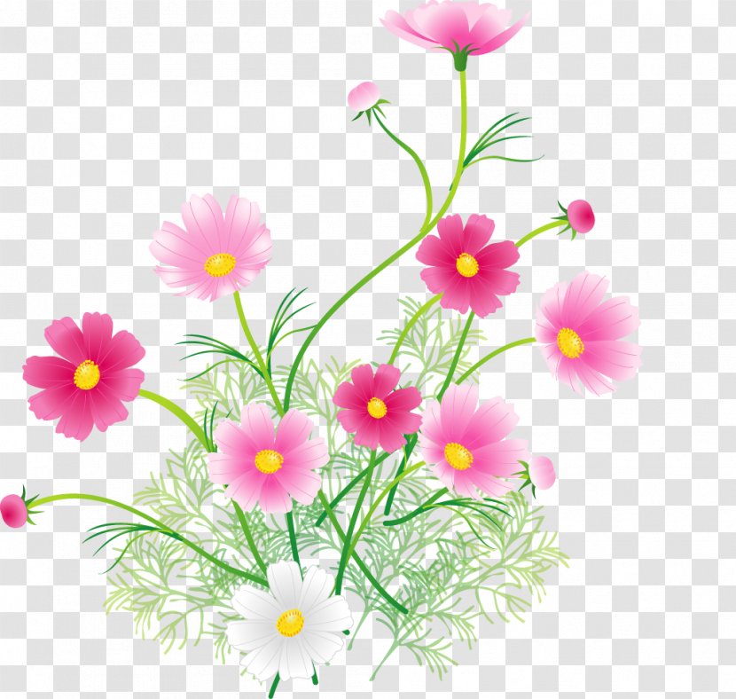 家族葬 Funeral Higan Child Family - Flowering Plant Transparent PNG