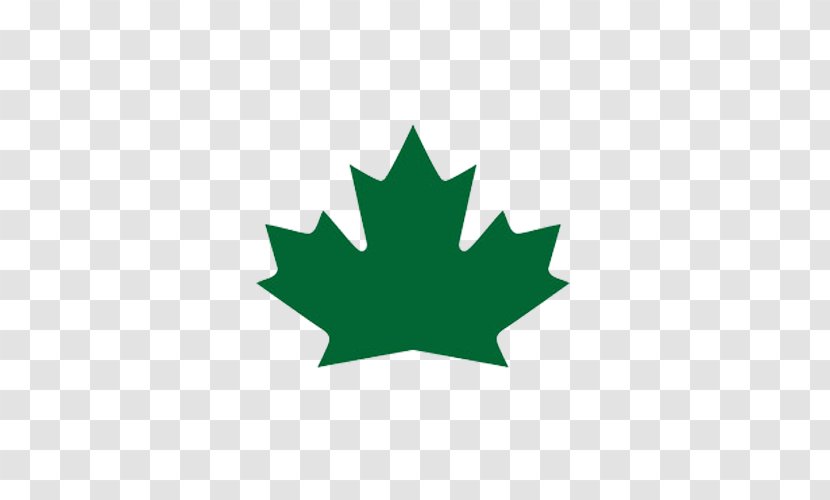Flag Of Canada Maple Leaf Bob And Doug McKenzie Transparent PNG