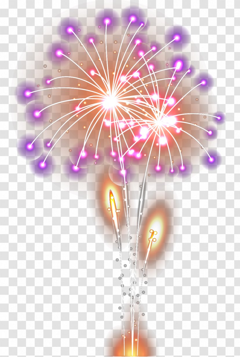 Petal Computer Wallpaper - Magenta - Cool Pull The Fireworks Free Decoration Material Transparent PNG