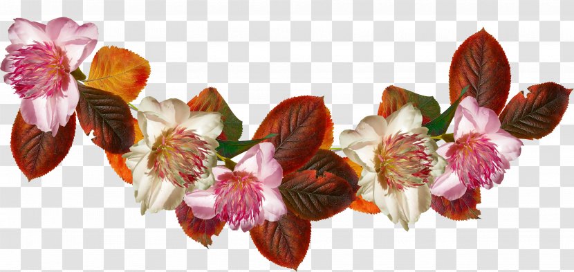 Petal Cut Flowers Flowering Plant - Blossom - Autumn Invitation Card Transparent PNG