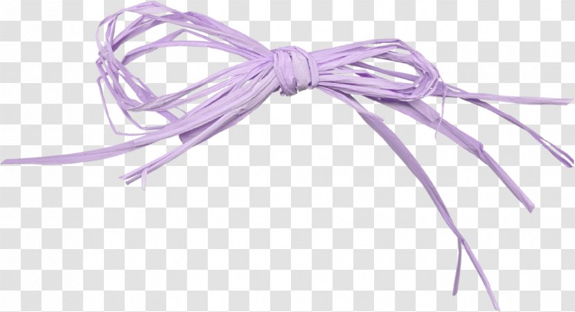 Purple Ribbon Photography Information - Pink - Grass Transparent PNG