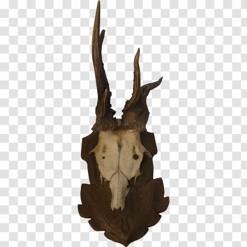 Deer Trophy Hunting Horn - Antelope - Antlers Transparent PNG