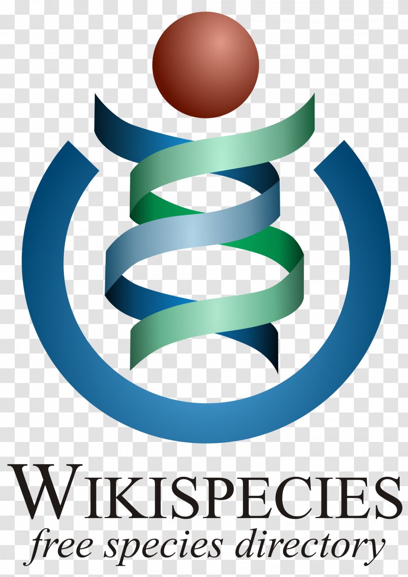 Wikimedia Foundation Wikipedia Wikispecies Project - Metawiki Transparent PNG