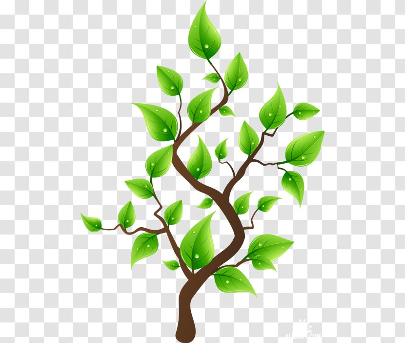 Tree Drawing Flowerpot Clip Art - Paper Transparent PNG